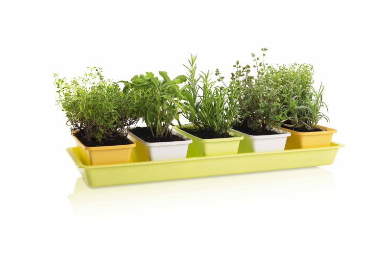 PLASTKON Truhlík Minigarden 60 Spring Mix