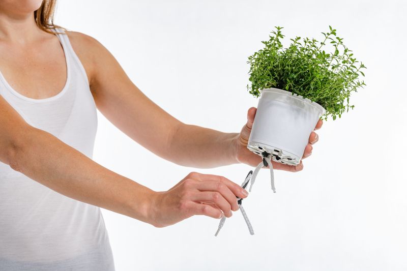 PLASTKON náhradní knoty pro Cobble 