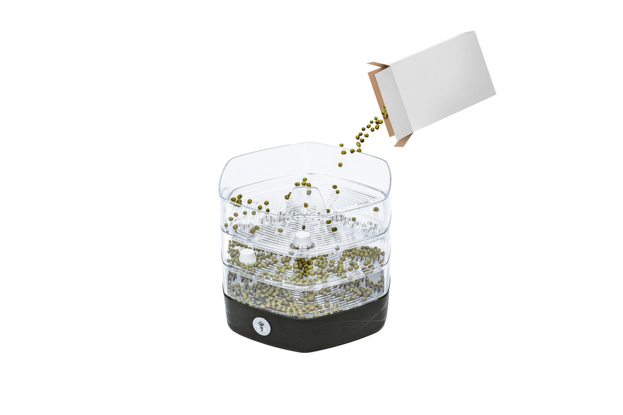 Klíčící miska Mungo ledově bílá