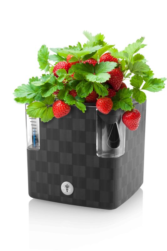 PLASTKON Samozavlažovací květináč Cobble 14x14x14 cm - antracit 