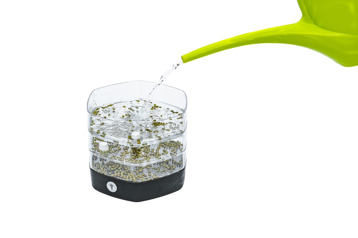 Klíčící miska Mungo ledově bílá