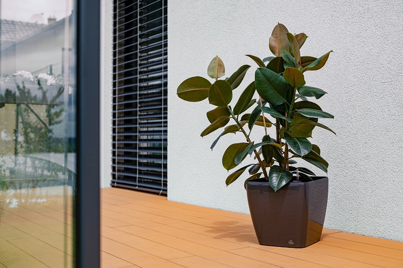 PLASTKON Flower Lover Quadrato - různé barvy