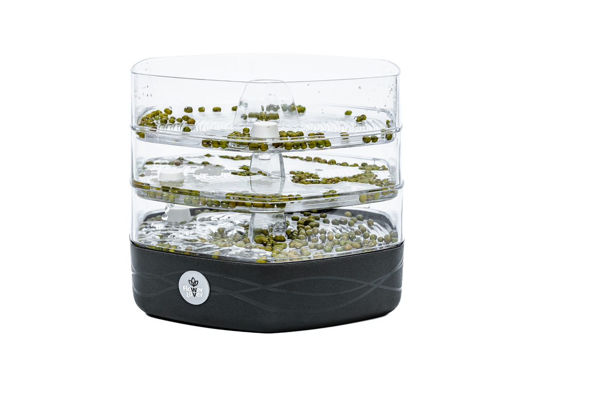 Klíčící miska Mungo ledově bílá