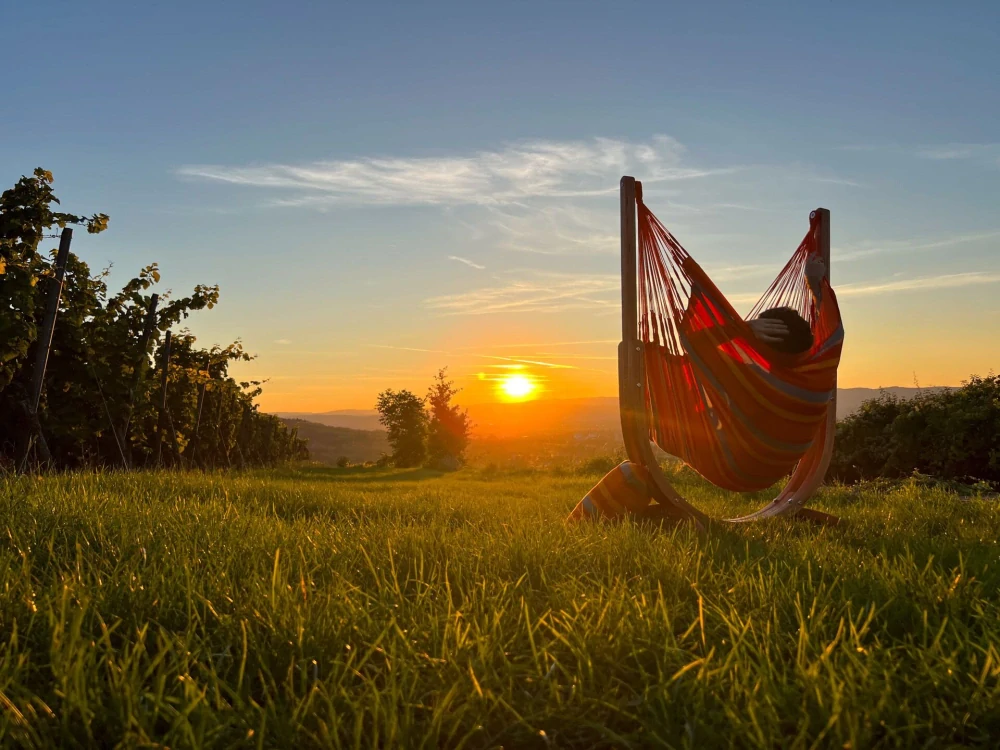 Houpací sedačka - La Siesta Cumbia Kingsize Outdoor toucan