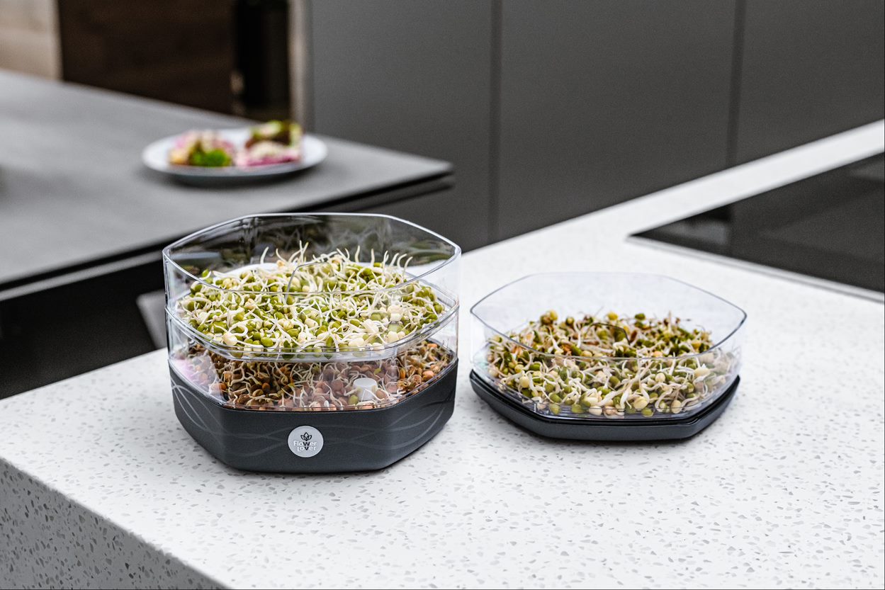 Klíčící miska Mungo ledově bílá